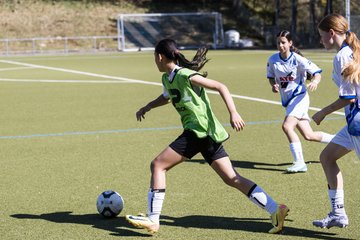 Bild 253 - wCJ Suederelbe - wBJ UH-Adler : Ergebnis: 7:1